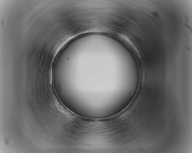 X0000103131276200808221033