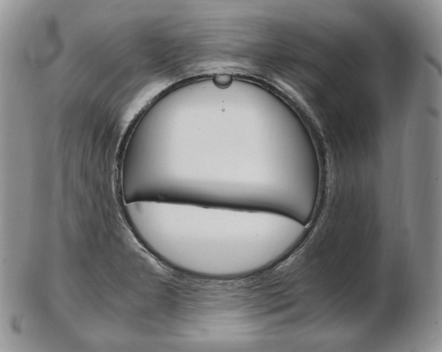 X0000103131277200808221033