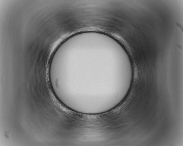 X0000103131278200808221033