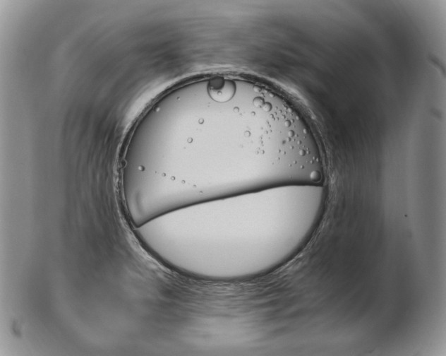 X0000103131279200808221033
