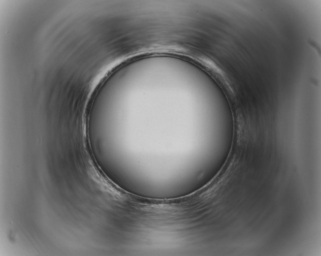 X0000103131280200808221033