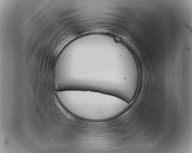 X0000103131281200808221033