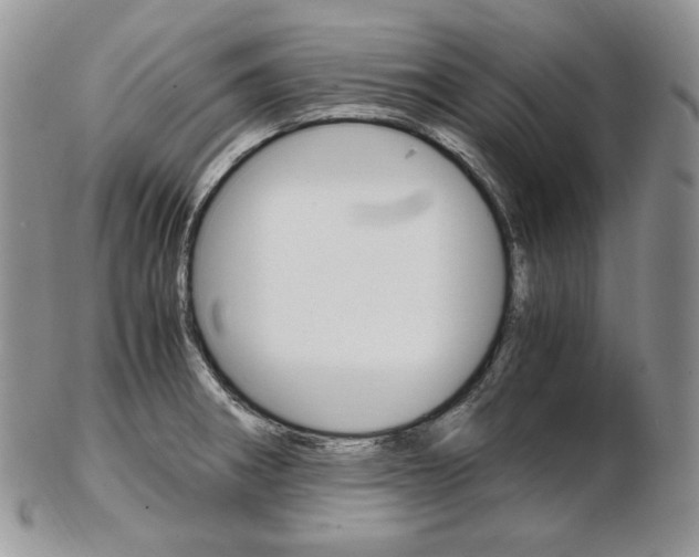 X0000103131282200808221033