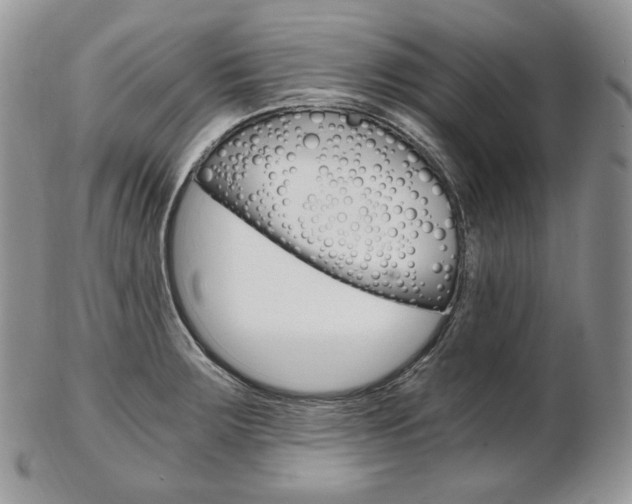 X0000103131283200808221033