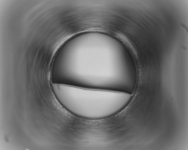 X0000103131284200808221033