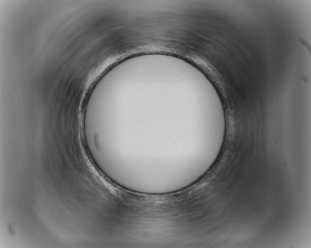 X0000103131286200808221033