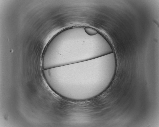 X0000103131287200808221033