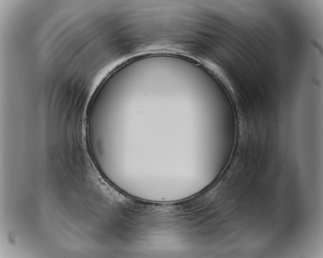 X0000103131288200808221033