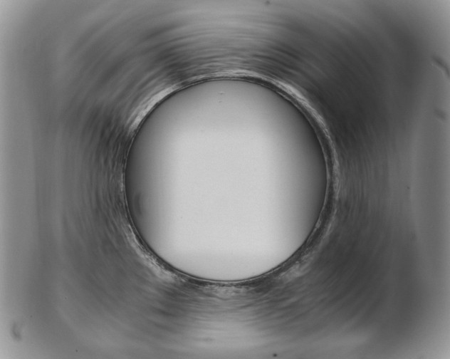 X0000103131289200808221033