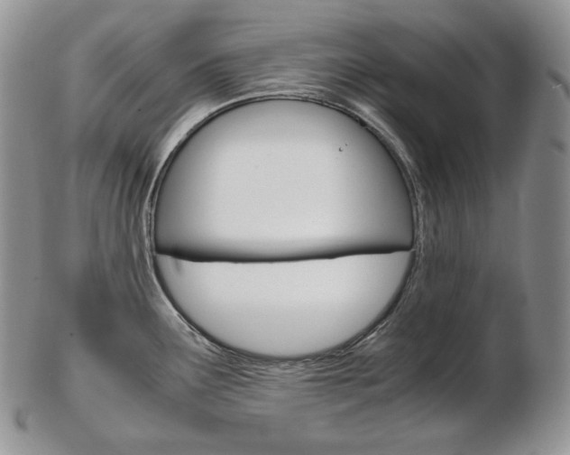 X0000103131291200808221033