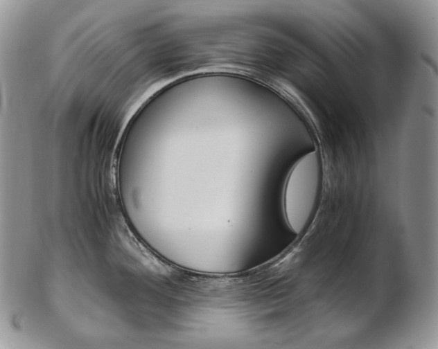 X0000103131292200808221033