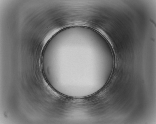X0000103131293200808221033