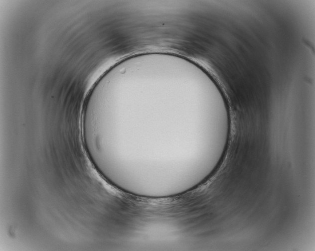 X0000103131294200808221033