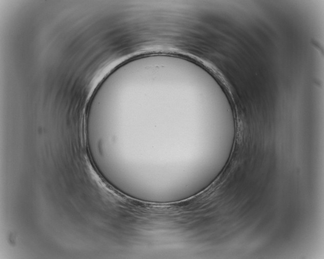 X0000103131295200808221033