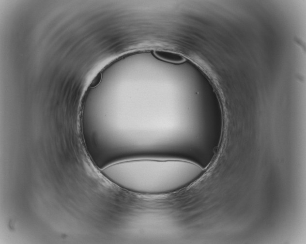 X0000103131296200808221033