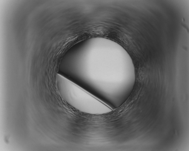 X0000103131297200808221032