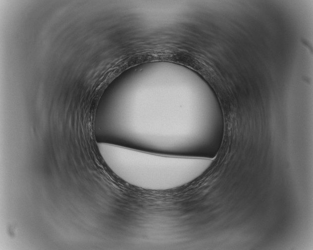 X0000103131298200808221032