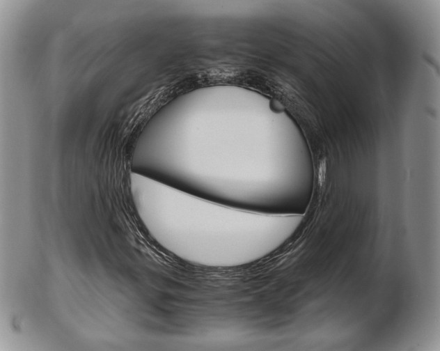 X0000103131299200808221032