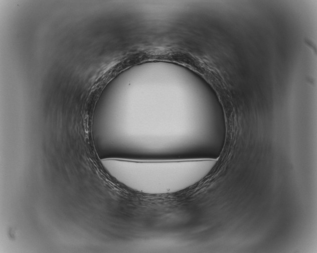 X0000103131301200808221032