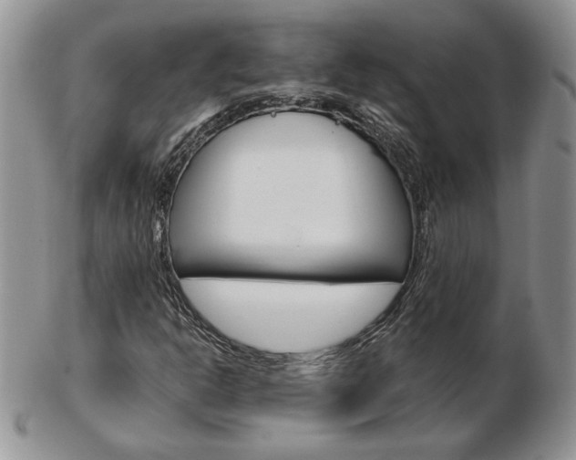 X0000103131302200808221032