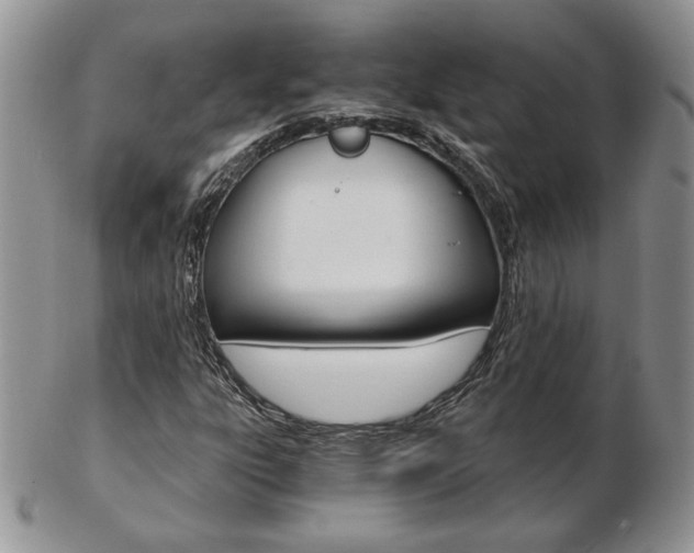 X0000103131303200808221032