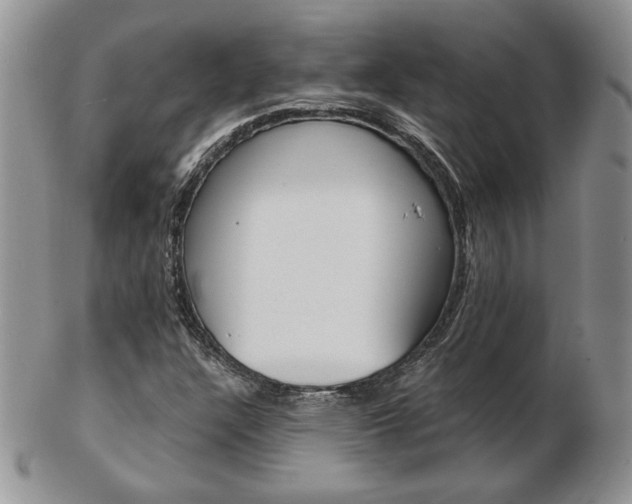 X0000103131304200808221032