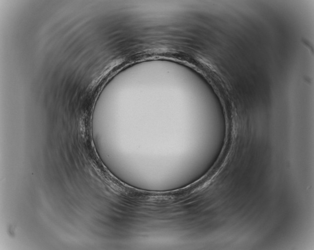 X0000103131305200808221032