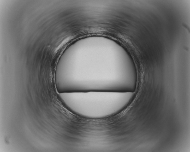 X0000103131306200808221032