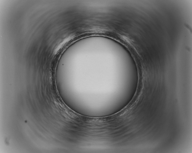 X0000103131307200808221032