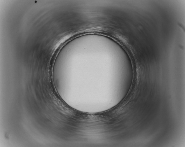 X0000103131308200808221032