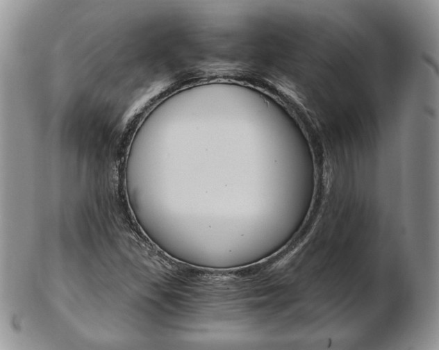 X0000103131309200808221032