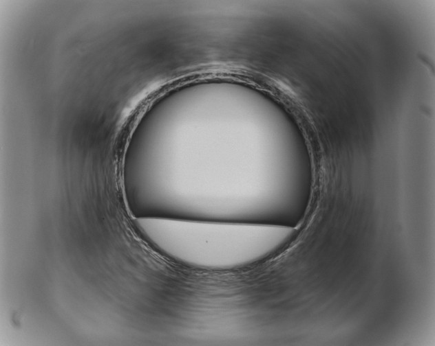 X0000103131310200808221032