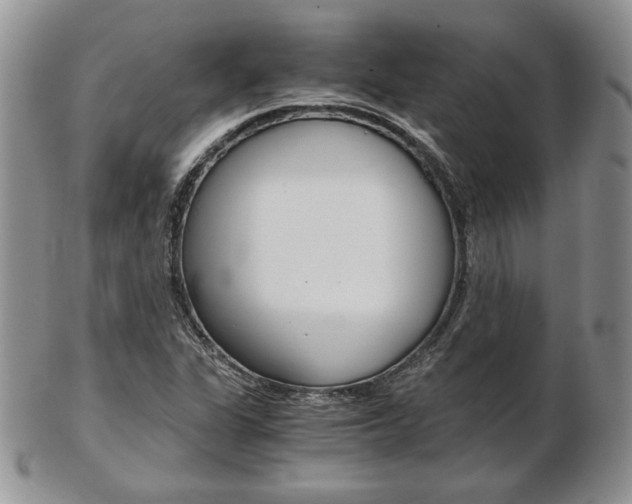 X0000103131311200808221032