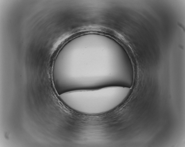 X0000103131312200808221032