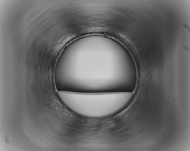 X0000103131313200808221032