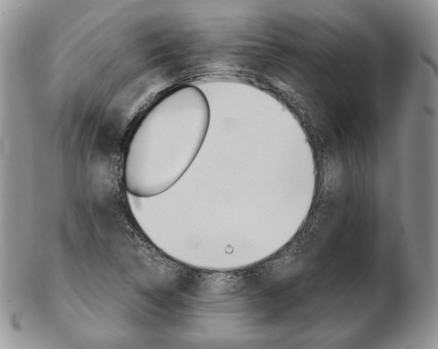 X0000103131314200808221032