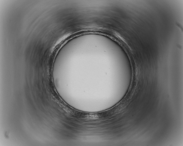X0000103131315200808221032