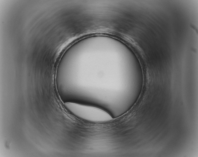 X0000103131316200808221032