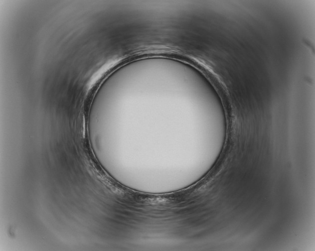 X0000103131317200808221032