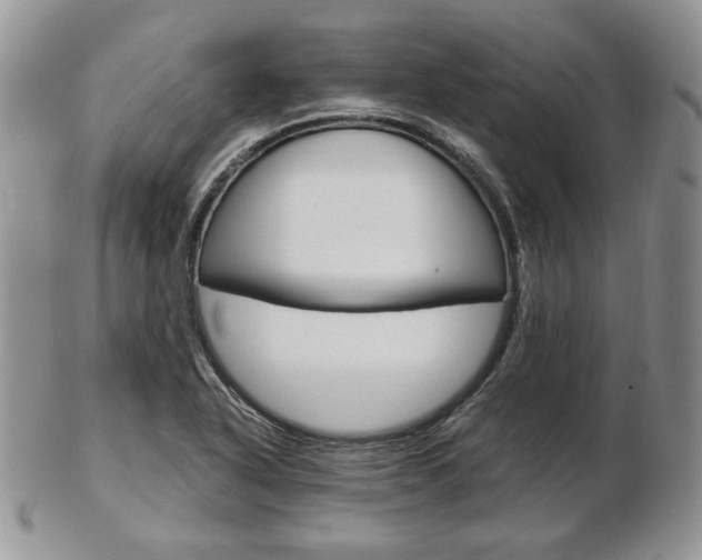X0000103131318200808221032
