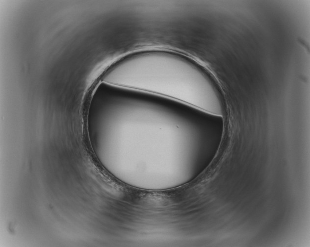 X0000103131319200808221032