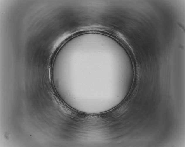 X0000103131320200808221032