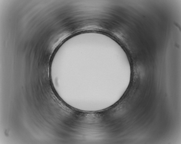 X0000103131322200808221032