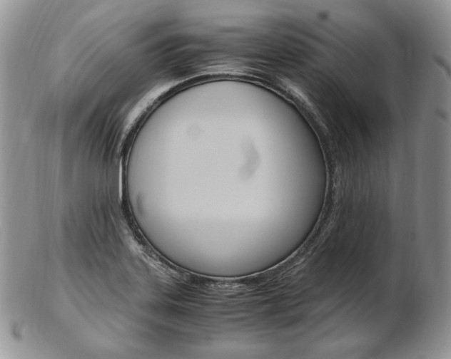 X0000103131323200808221032