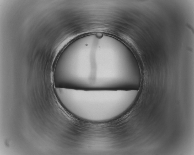 X0000103131324200808221032