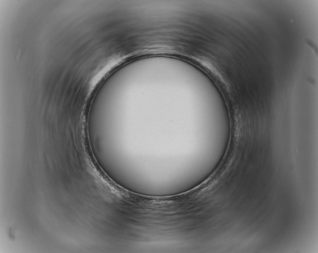 X0000103131325200808221032