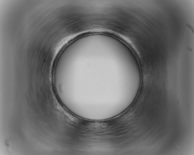 X0000103131327200808221032