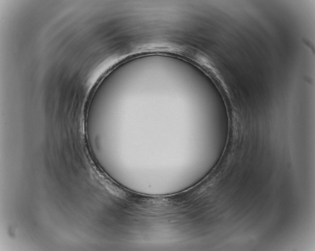 X0000103131328200808221033