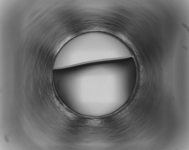 X0000103131329200808221033