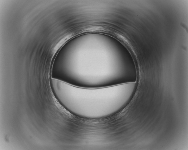 X0000103131330200808221033